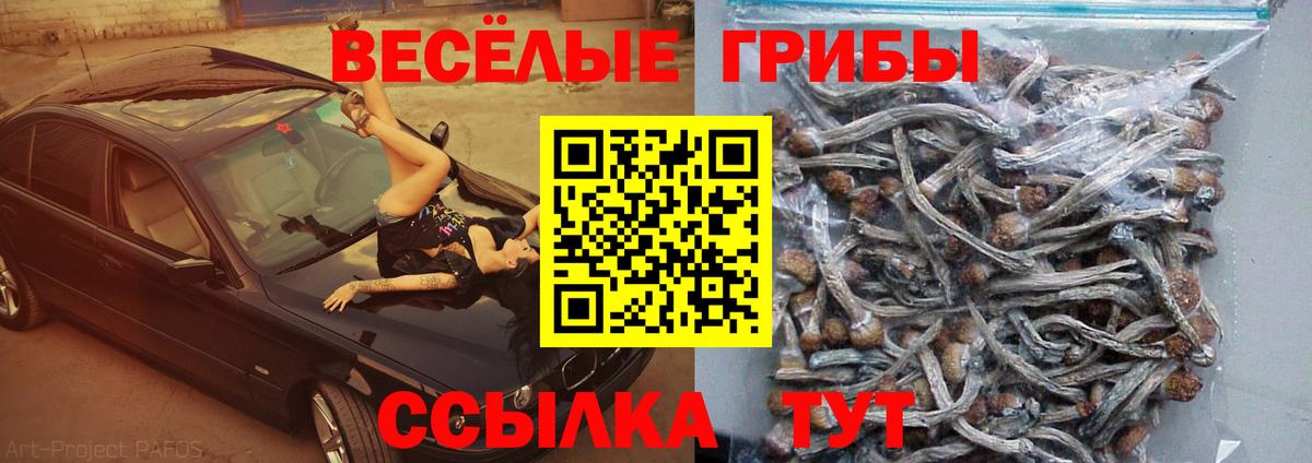 Галлюциногенные грибы мицелий Усть-Илимск